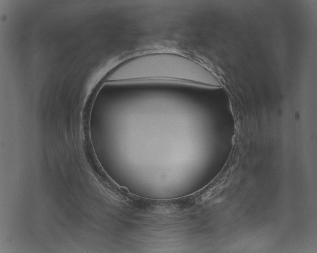 X0000071830248200606301042