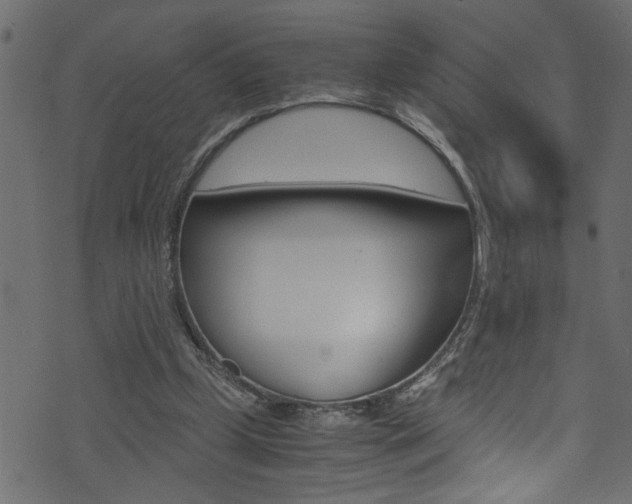 X0000071830249200606301042