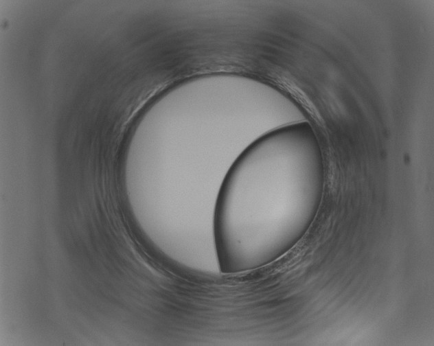 X0000071830251200606301042