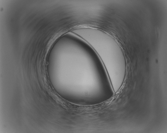 X0000071830289200606301042