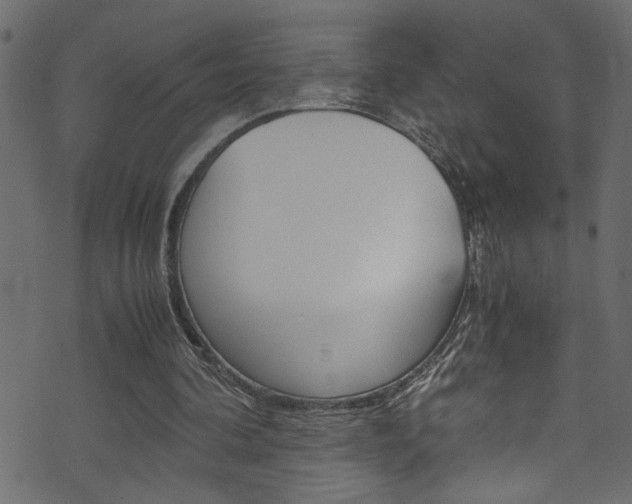 X0000071830292200606301042