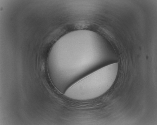 X0000071830315200606301042