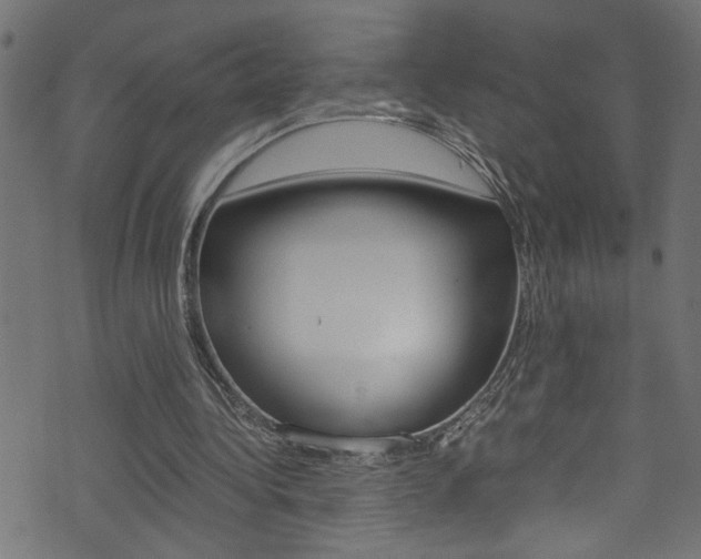 X0000071830340200606301041