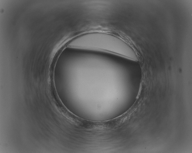 X0000071830344200606301041