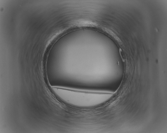 X0000071830391200606301040