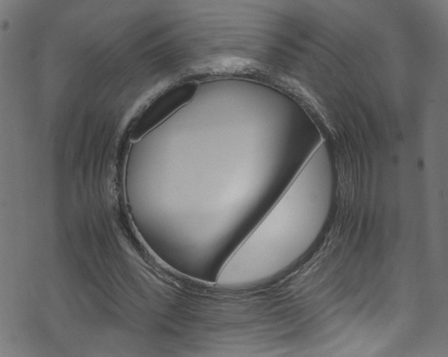 X0000071830392200606301040
