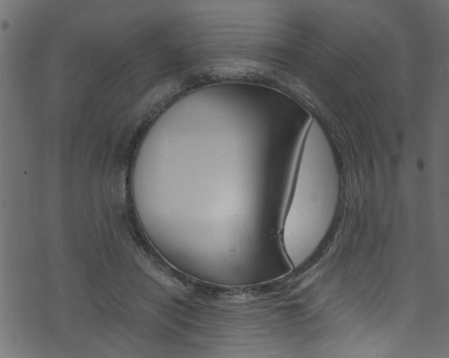 X0000071830454200606301039