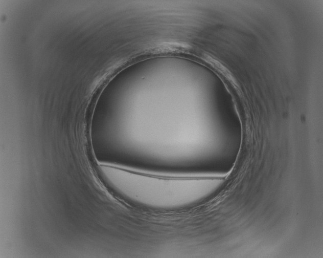 X0000071830485200606301039