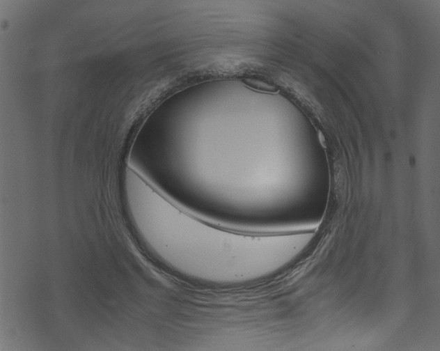 X0000071830493200606301039