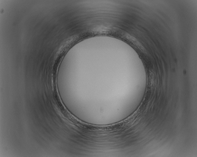 X0000071830494200606301039