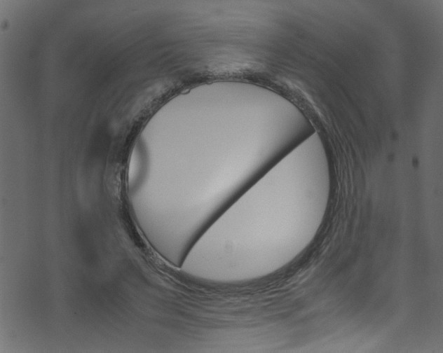 X0000071830495200606301039