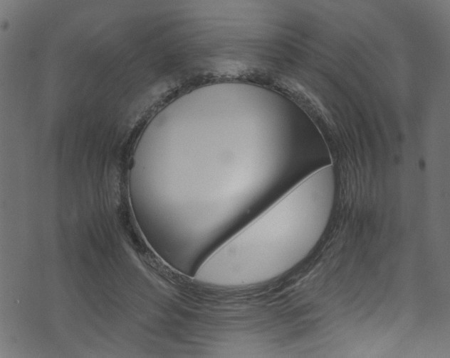 X0000071830496200606301039