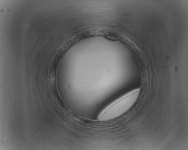 X0000071830513200606301039