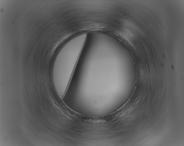 X0000071830539200606301038