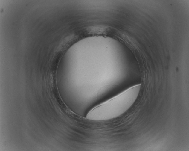 X0000071830551200606301038