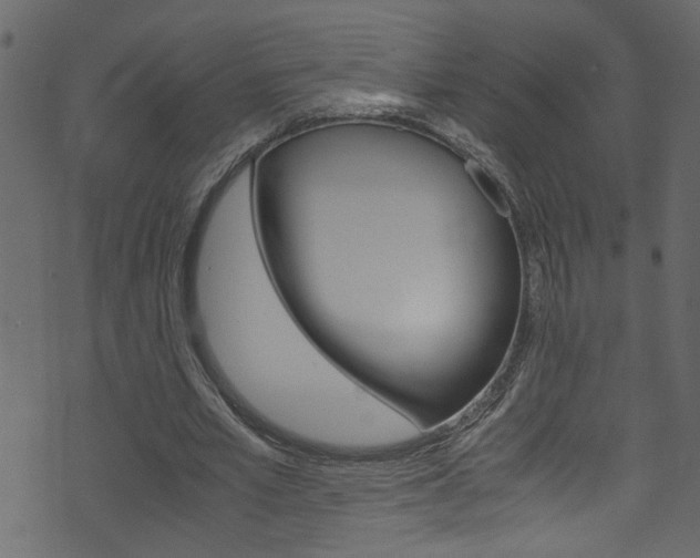 X0000071830581200606301037