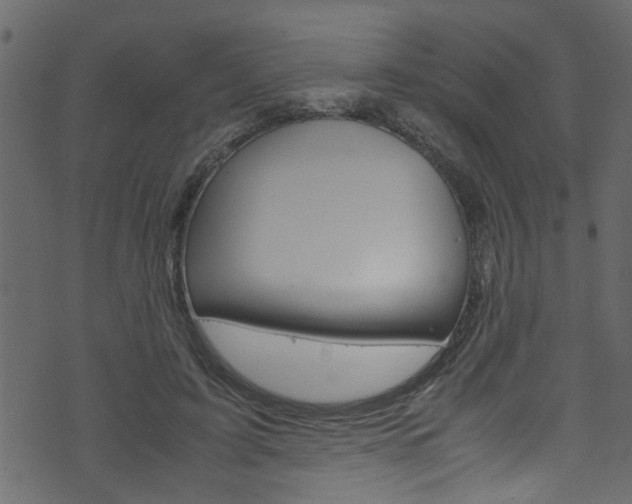 X0000071830595200606301037