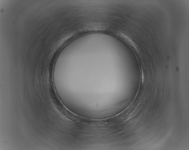 X0000071830627200606301036