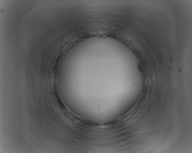 X0000071830647200606301036