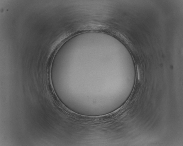 X0000071830675200606301036