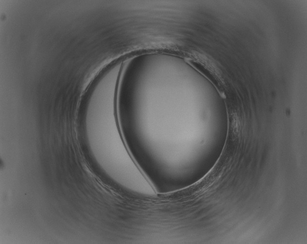 X0000071830676200606301036
