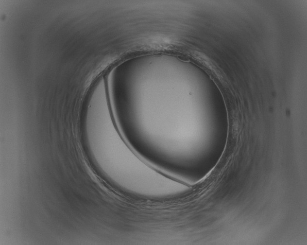 X0000071830677200606301036