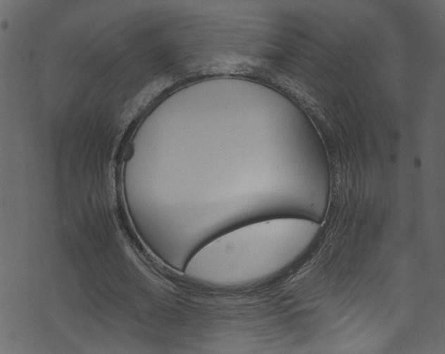 X0000071830678200606301036