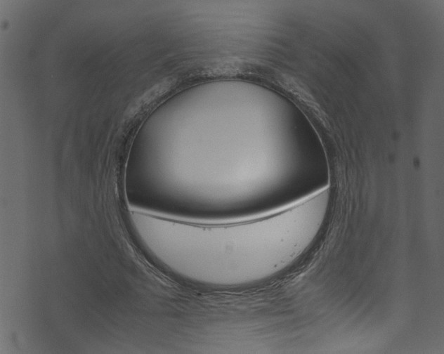 X0000071830681200606301036