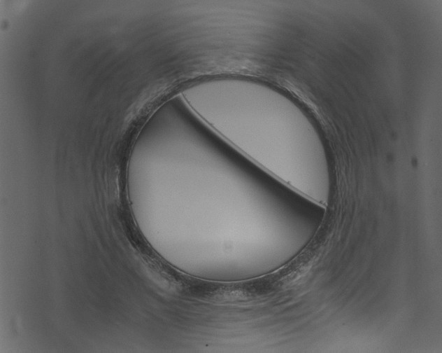 X0000071830685200606301036