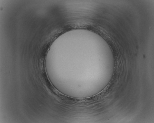 X0000071830695200606301036
