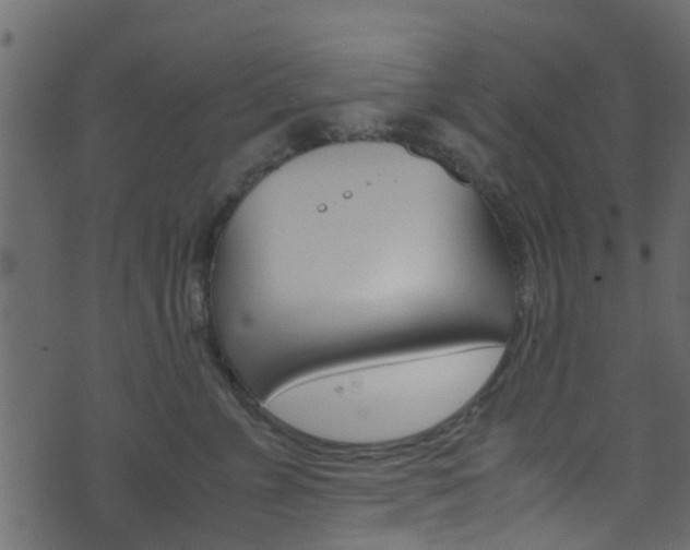 X0000071830715200606301035