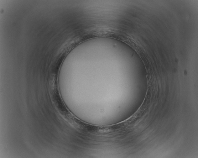 X0000071830744200606301035