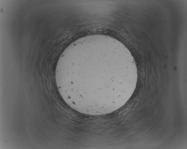 X0000071830769200606301034