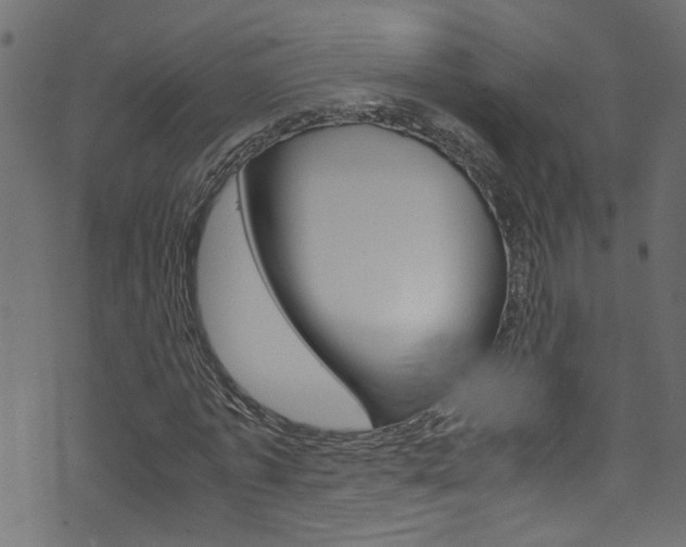 X0000071830773200606301034