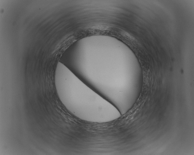 X0000071830774200606301034