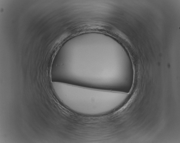 X0000071830777200606301034