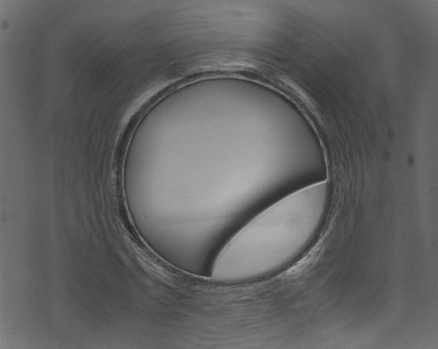 X0000071830779200606301034