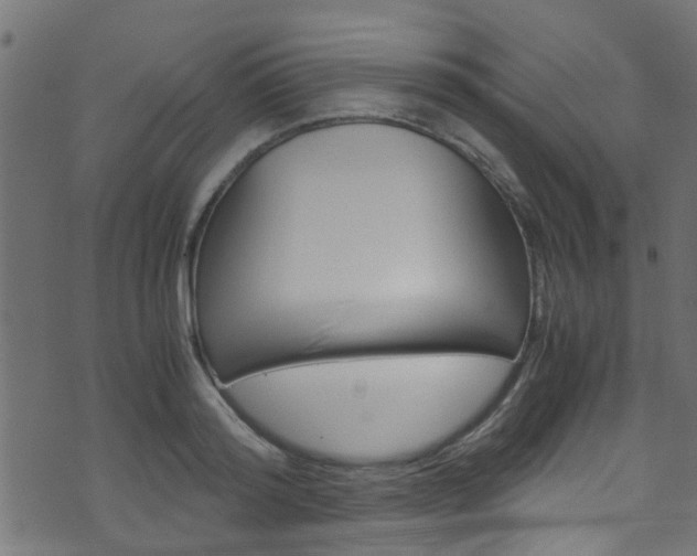X0000071830796200606301034