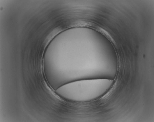 X0000071830802200606301034
