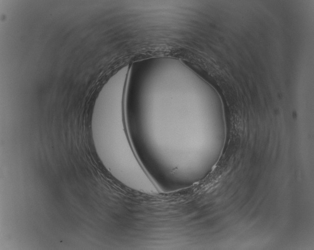 X0000071830818200606301033