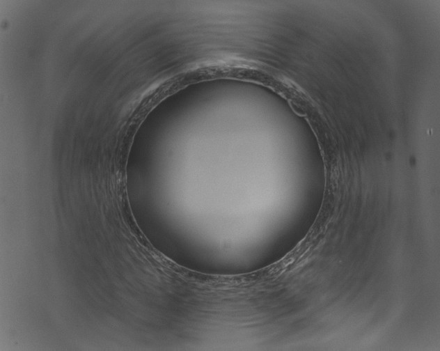X0000071830822200606301033