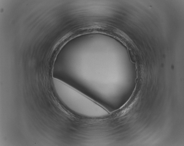 X0000071830826200606301033