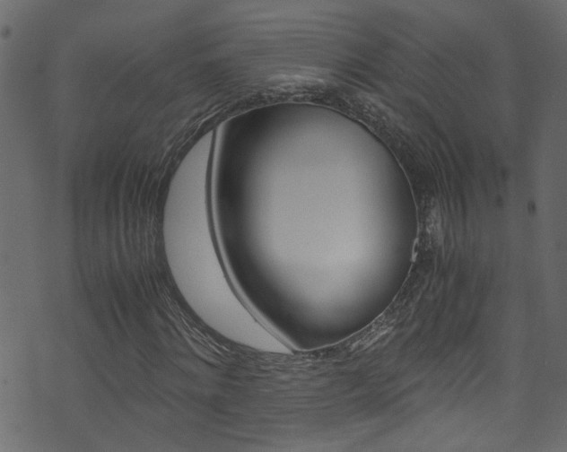 X0000071830868200606301033