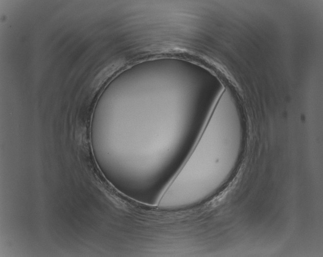 X0000071830881200606301033