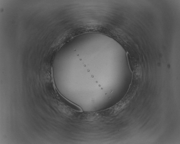 X0000071830916200606301031