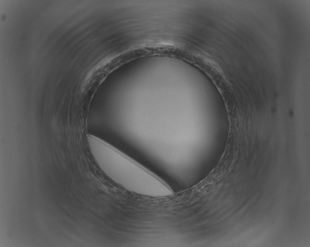 X0000071830920200606301031