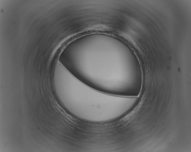 X0000071830923200606301031