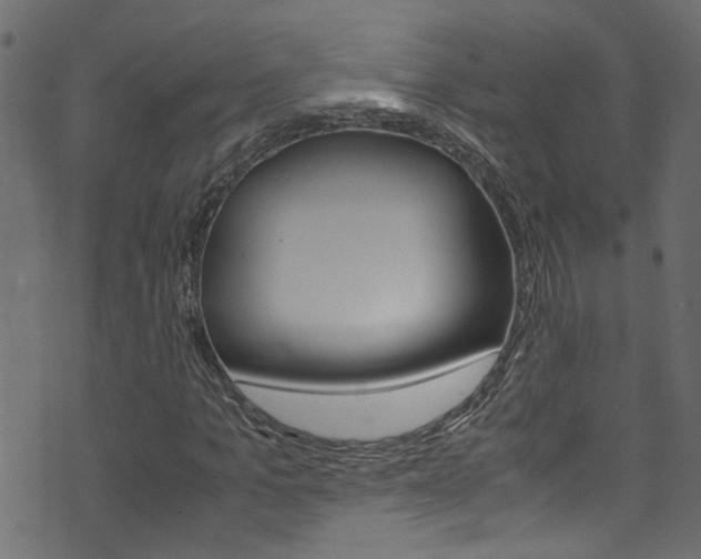 X0000071830965200606301031