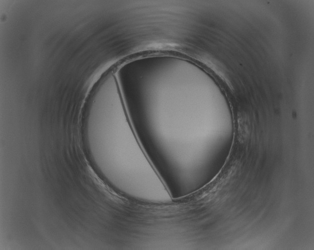 X0000071830972200606301031