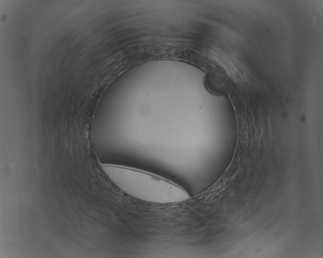 X0000071831013200606301030